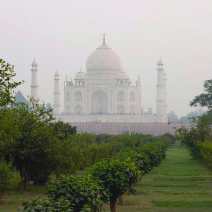 Taj with Wildlife