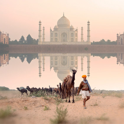 Golden Triangle with Pushkar Fair