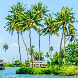 Exotic Kerala Tour Package