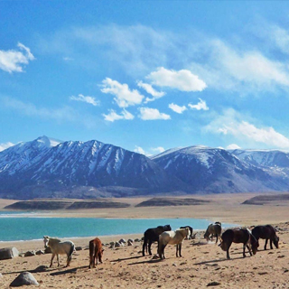 Leh with Turtuk Nubra Pangong Trip