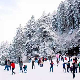 Shimla Tour Package from Delhi