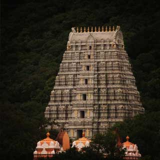 South India Temple Tour