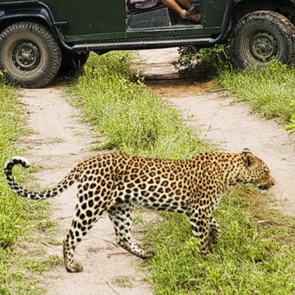 Luxury Rajasthan Tour